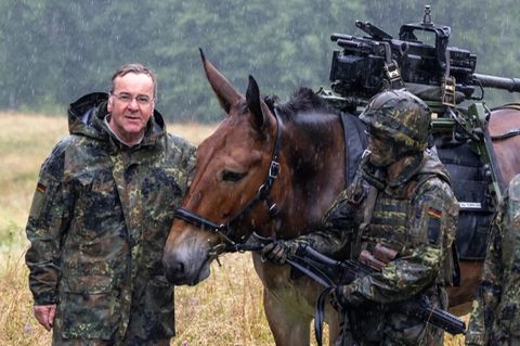 Verteidigungsminister Boris Pistorius bei einem Truppenbesuch mit einem Transport-Muli