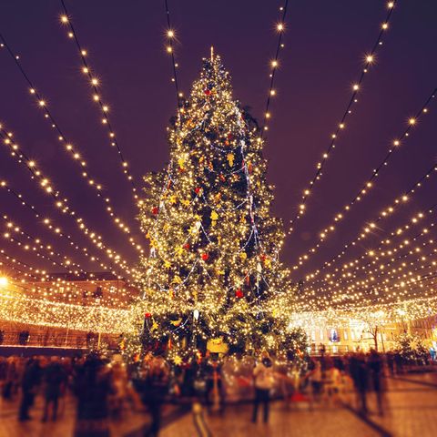 Ein Weihnachtsbaum