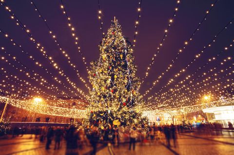 Ein Weihnachtsbaum