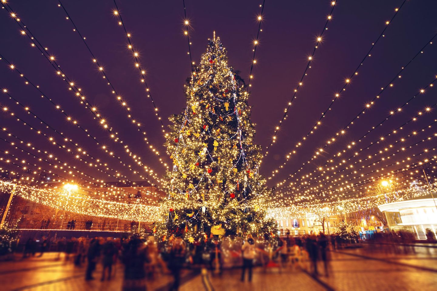 Weihnachtsbaum Woher kommt die Tradition? STERN.de