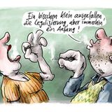 Jahrbuch: Kriege, Krisen und Ampelchaos: Karikaturist Klaus Stuttmann blickt auf 2023 zurück