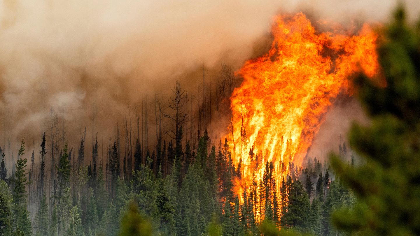Waldbrand in der Region Donnie Creek
