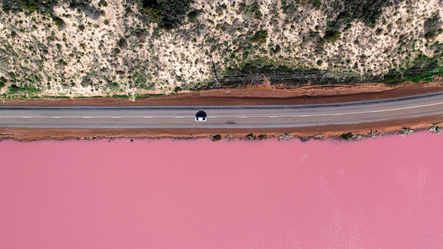 Der Coral Coast Highway gehört zu den wohl bekanntesten Strecken für einen Roadtrip in Western Australia. Die Route führt Reisende von Perth bis nach Exmouth zum größten Saumriff der Welt, vorbei an einsamen Stränden und beeindruckenden Schluchten. Ein absolutes Highlight des Roadtrips ist der weltberühmte pinke See Hutt Lagoon in der Nähe der Hafenstadt Geraldton. Weitere Stopps bieten sich etwa im Kalbarri Nationalpark oder an der Shark Bay an. 