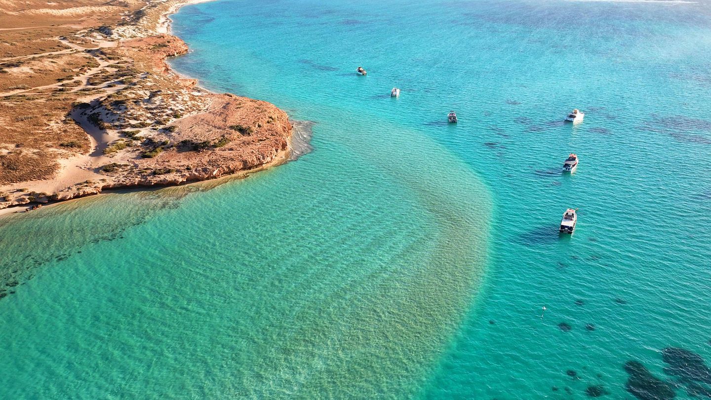 Das Ziel des Roadtrips: Das Ningaloo Reef. Das UNESCO-Weltnaturerbe zählt zu den artenreichsten Meeresgebieten der Welt und lockt mit seinem glasklaren Wasser daher vor allem Schnorchler und Taucher an.  Länge: 3.277 Kilometer  Dauer: 8 bis 11 Tage
