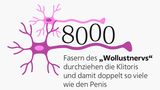 Intimität: Wie viele sind schon fremdgegangen? Wie lange dauert ein Orgasmus? Elf Fakten über Sex