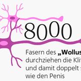 Intimität: Wie viele sind schon fremdgegangen? Wie lange dauert ein Orgasmus? Elf Fakten über Sex