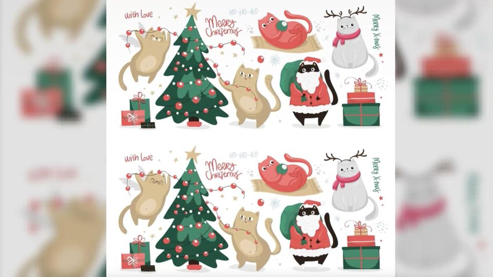 Tierisches Suchbild: Augentest: Können Sie die Weihnachtskätzchen unterscheiden? Tierisches Suchbild: Augentest: Können Sie die Weihnachtskätzchen unterscheiden?