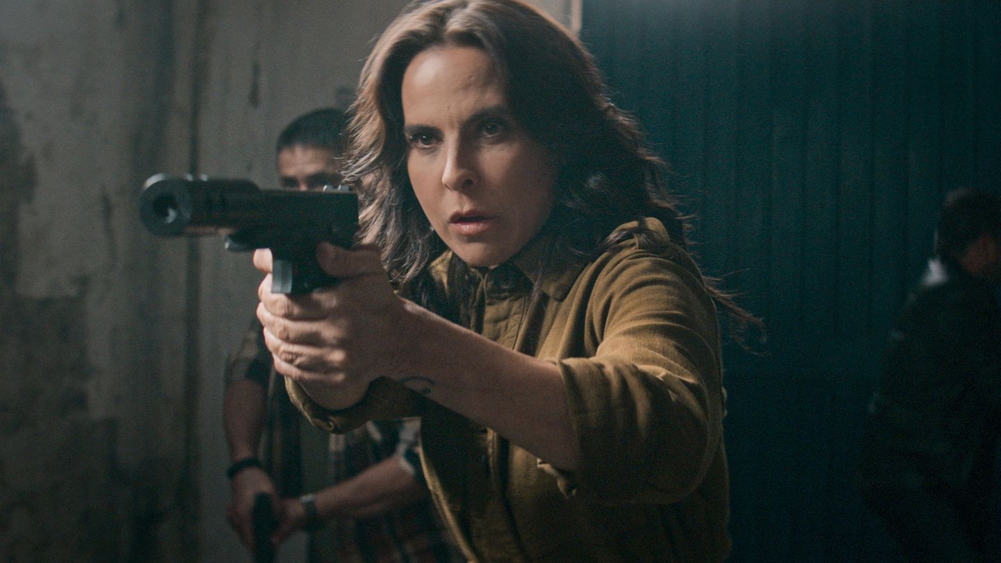 Gut gehütetes Geheimnis: Platz 7: La Reina del Sur Die Telenovela über den Aufstieg der mexikanischen Drogenbaronin Teresa Mendoza war 2011 eigentlich für den südamerikanischen Markt entwickelt worden, Staffel drei sicherte sich dann Netflix. Mit überwältigendem Erfolg: Fast 430 Millionen Stunden fieberten die Fans bei der neuen Staffel mit. Und das, obwohl die Serie als einzige in den Top 10 nicht global verfügbar ist. Platz 7: La Reina del Sur Die Telenovela über den Aufstieg der mexikanischen Drogenbaronin Teresa Mendoza war 2011 eigentlich für den südamerikanischen Markt entwickelt worden, Staffel drei sicherte sich dann Netflix. Mit überwältigendem Erfolg: Fast 430 Millionen Stunden fieberten die Fans bei der neuen Staffel mit. Und das, obwohl die Serie als einzige in den Top 10 nicht global verfügbar ist.