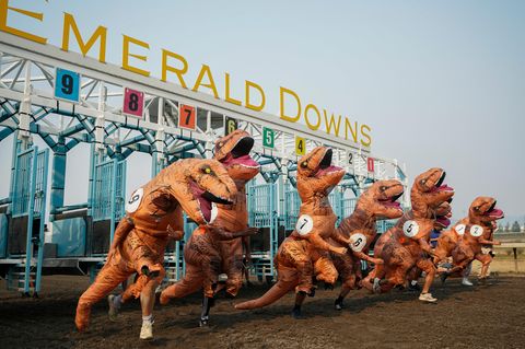 Renn-Teilnehmer*innen in T-Rex-Kostümen während des Rennens. An der Bahn jubeln Ihnen Zuschauer zu.