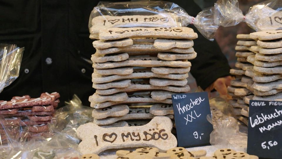 Geschenk-Ideen: Weihnachtsgeschenke für die besonderen Familienmitglieder – so bereiten Sie Ihren Haustieren eine Freude
