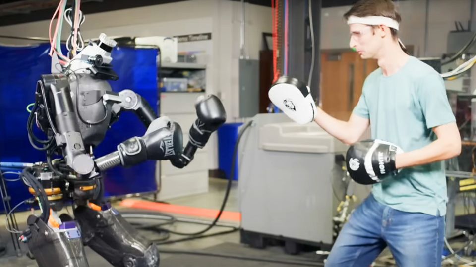 Helfer für gefährliche Aufgaben: Mensch gegen Maschine: Forscher testen boxenden Roboter Helfer für gefährliche Aufgaben: Mensch gegen Maschine: Forscher testen boxenden Roboter