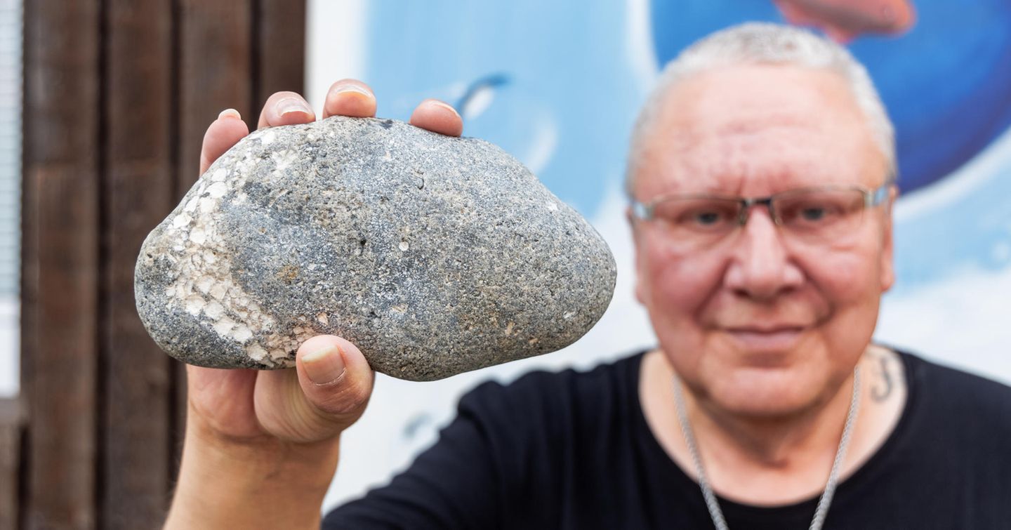 66 Millionen Jahre alter versteinerter Seestern, entdeckt von einem Hobby-Paläontologen am Ostseestrand