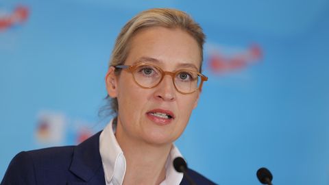 Die AfD-Politikerin Alice Weidel