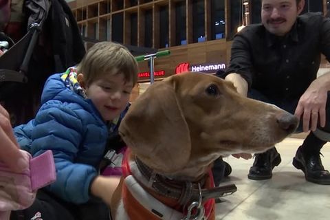 Video: Hunde gegen Reisestress - BER macht's möglich