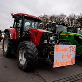 Einige werden noch deutlicher: "Bauern Tod bringt Menschen Not" steht an einem roten Trecker. Ein weiteres Plakat skandiert: "Die Ampel muss weg".