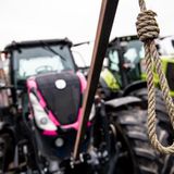 Sein pinker Kollege protestiert mit Galgenhumor – im wahrsten Sinne