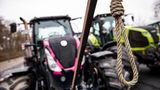 Sein pinker Kollege protestiert mit Galgenhumor – im wahrsten Sinne
