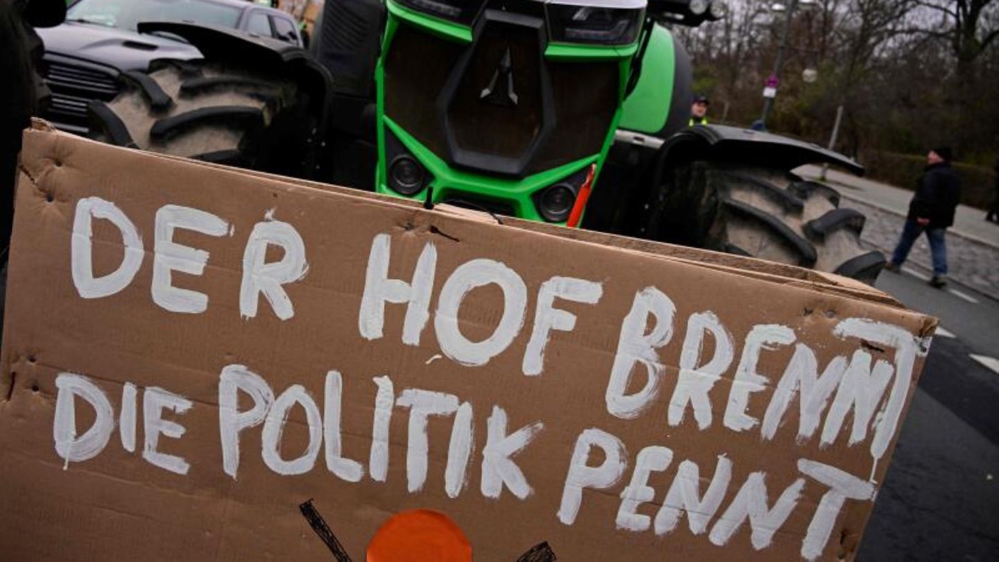 Ein anderer Trecker trägt folgende Hiobsbotschaft: "Der Hof brennt, die Politik pennt"