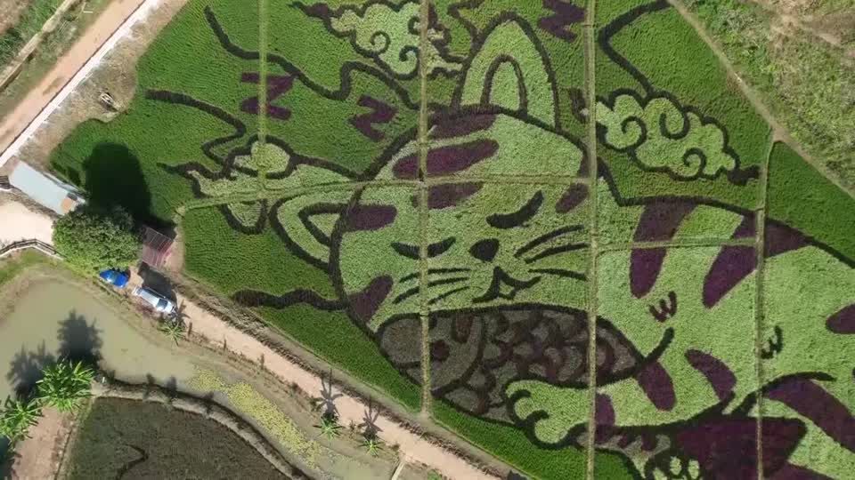 Video: Thailand: Große Kunst soll Besucher locken Video: Thailand: Große Kunst soll Besucher locken