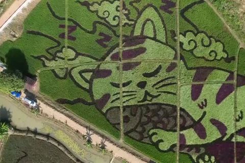 Video: Thailand: Große Kunst soll Besucher locken