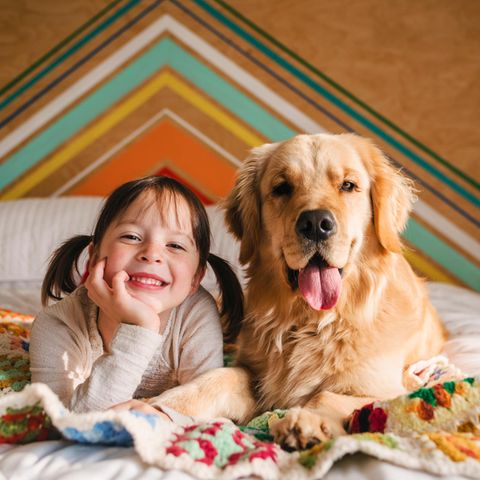 Ein Mädchen liegt mit einem Golden Retriever auf dem Bett