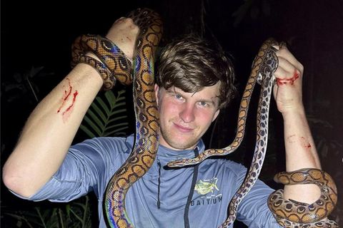 Everglades-Park in Florida: Er streichelt Krokodile, Schlangen und Spinnen: Waghalsiger Tiktoker läuft barfuß durch die Everglades