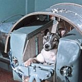 Der Hund Leika vor der Sowjet-Mission Sputnik 2