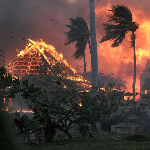 Maui in Flammen. Ein heftiger Waldbrand zerstörte im August zahlreiche Gebäude, mehr als 100 Menschen kamen ums Leben.