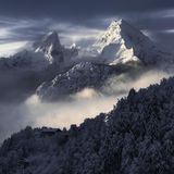 Alpen-Gebirge türmt sich hinter einem verschneiten Wald auf