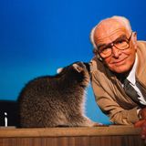 Tier sitzt, Kamera läuft  Links: Waschbär, vermutlich ohne Ausbildung. Rechts: Grzimek, Zoologe. Zusammen: im Fernsehen. Unterhaltsam und lehrreich – so sind die allermeisten Folgen der Sendung „Ein Platz für Tiere“, zu denen Bernhard Grzimek kleine bis ziemlich große Tiere von putzig bis oha mit ins Studio des Hessischen Rundfunks nimmt. Das Format läuft seit 1956 und wird es in 31 Jahren auf 175 Ausgaben bringen. Stets mit dem leicht nuschelnden,freundlichen Singsang des Herrn Professors und seinem unverzichtbaren Hinweisauf das Spendenkonto des Frankfurter Zoos. 1960 hatte Grzimeks Film „Serengetidarf nicht sterben“ den Oscar als beste Dokumentation gewonnen. Der große Tierfreund stirbt 1987 – als Zuschauer während einer Zirkusvorstellung.