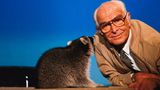 Tier sitzt, Kamera läuft  Links: Waschbär, vermutlich ohne Ausbildung. Rechts: Grzimek, Zoologe. Zusammen: im Fernsehen. Unterhaltsam und lehrreich – so sind die allermeisten Folgen der Sendung „Ein Platz für Tiere“, zu denen Bernhard Grzimek kleine bis ziemlich große Tiere von putzig bis oha mit ins Studio des Hessischen Rundfunks nimmt. Das Format läuft seit 1956 und wird es in 31 Jahren auf 175 Ausgaben bringen. Stets mit dem leicht nuschelnden,freundlichen Singsang des Herrn Professors und seinem unverzichtbaren Hinweisauf das Spendenkonto des Frankfurter Zoos. 1960 hatte Grzimeks Film „Serengetidarf nicht sterben“ den Oscar als beste Dokumentation gewonnen. Der große Tierfreund stirbt 1987 – als Zuschauer während einer Zirkusvorstellung.
