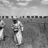 Sanft wehende Gräser, am Himmel ein paar Wölkchen. Es könnte ein schöner Frühlingstag sein, wären da nicht zwei Menschen in Schutzanzügen mit Geräten, die Radioaktivität messen. Denn das hier ist jetzt eine Sperrzone  Im Kernkraftwerk im ukrainischen Tschernobyl explodiert am 26. April der Reaktorblock 4. Unfassbare Mengen radioaktiver Stoffe werden in die Atmosphäre freigesetzt, sie verbreiten sich über Europa, über Russland, über weitere Regionen der nördlichen Halbkugel. Neben dem Reaktorunfall von Fukushima ist es die größte Katastrophe in der Geschichte der Atomenergie