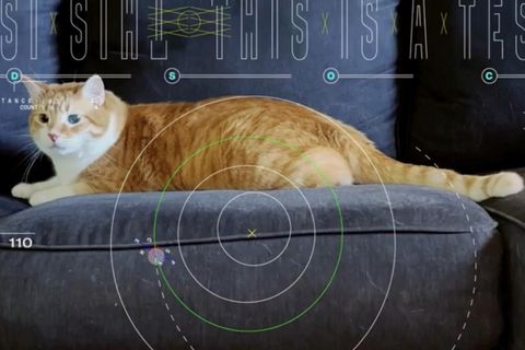 Erfolgreiches Experiment: Nasa sendet Katzenvideo per Laser aus dem Weltall – warum das ein großer Durchbruch ist