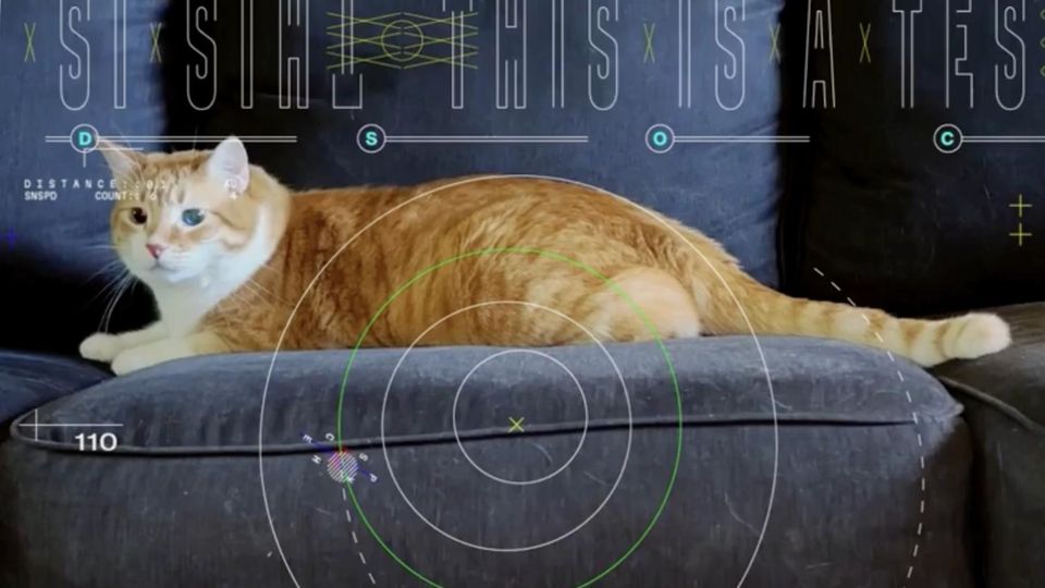 Erfolgreiches Experiment: Nasa sendet Katzenvideo per Laser aus dem Weltall – warum das ein großer Durchbruch ist