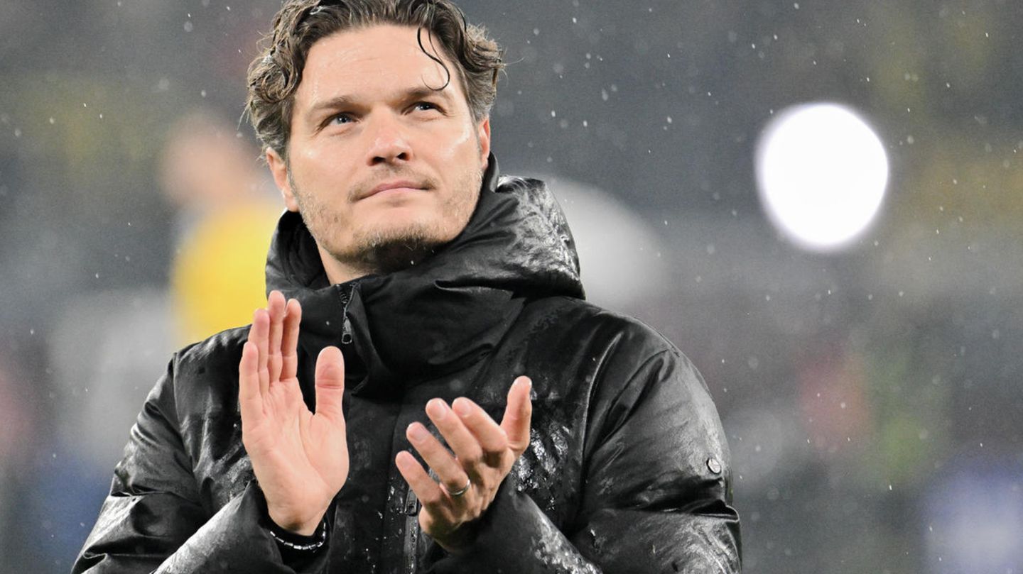 BVB-Trainer Edin Terzic