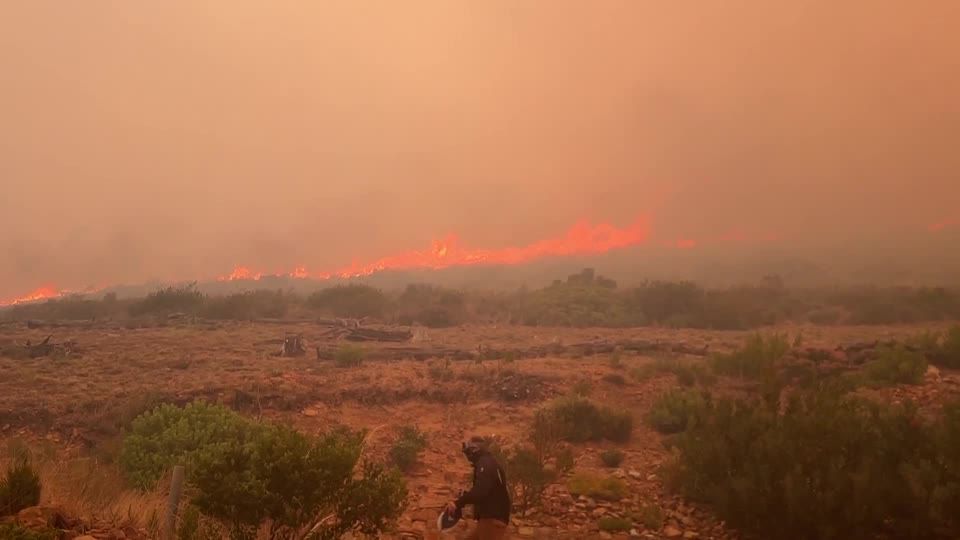 Video: Waldbrand in Südafrika