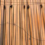 Gut eingepackt  Rund 100 000 Quadratmeter Stoff brauchen Christo und Jeanne-Claude sowie 90 professionelle Kletterer, um den Reichstag zu verhüllen. Fünf Millionen Menschen werden das Kunstwerk bestaunen.