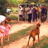 Simbabwe: Frau mit zwei Töchtern und Hund sieht sich erbosten Menschen hinter einem Zaun gegenüber