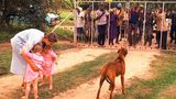 Simbabwe: Frau mit zwei Töchtern und Hund sieht sich erbosten Menschen hinter einem Zaun gegenüber