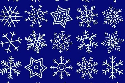 Suchbild für Profis: Schneller Augentest: Können Sie die zwei identischen Schneeflocken finden?