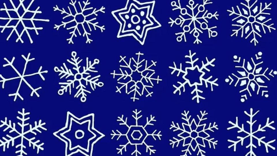 Suchbild für Profis: Schneller Augentest: Können Sie die zwei identischen Schneeflocken finden?