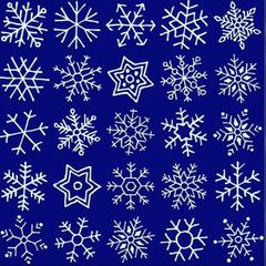 Suchbild für Profis: Schneller Augentest: Können Sie die zwei identischen Schneeflocken finden?