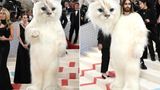Jared Leto im weißen Katzenkostüm bei der Met Gala in New York
