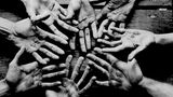 Ein schwarz-weißes Foto von den schwielligen Händen der Ruder-Mannschaft, die Ihre Handinnenflächen der Kamera präsentieren.