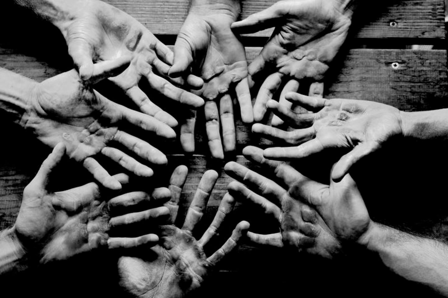 2012 – Breisach am Rhein Ein schwarz-weißes Foto von den schwielligen Händen der Ruder-Mannschaft, die Ihre Handinnenflächen der Kamera präsentieren.