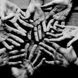 Ein schwarz-weißes Foto von den schwielligen Händen der Ruder-Mannschaft, die Ihre Handinnenflächen der Kamera präsentieren.