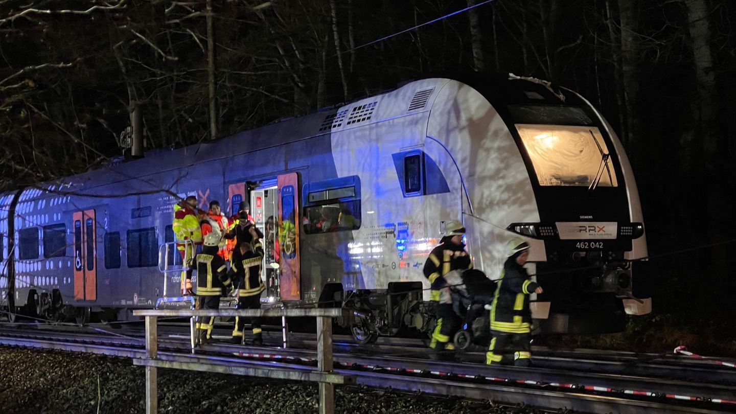 In Willebadessen wurden Reisende aus einem Regionalzug gebracht, auf den wegen des Sturmtiefs "Zoltan" ein Baum gestürzt war