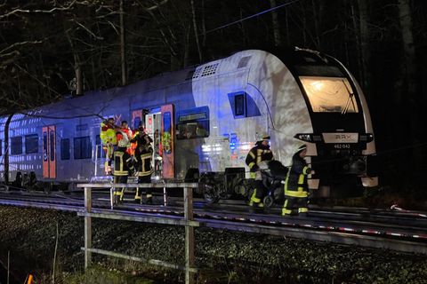 In Willebadessen wurden Reisende aus einem Regionalzug gebracht, auf den wegen des Sturmtiefs "Zoltan" ein Baum gestürzt war