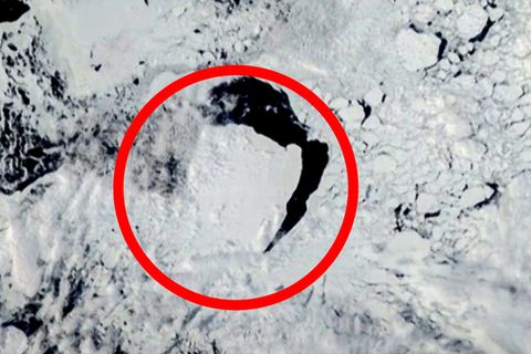 Zeitraffer: Größter Eisberg der Welt driftet 1700 Kilometer Richtung Südatlantik