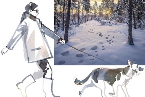 Illustration: Spaziergang mit Hund in einer Winterlandschaft